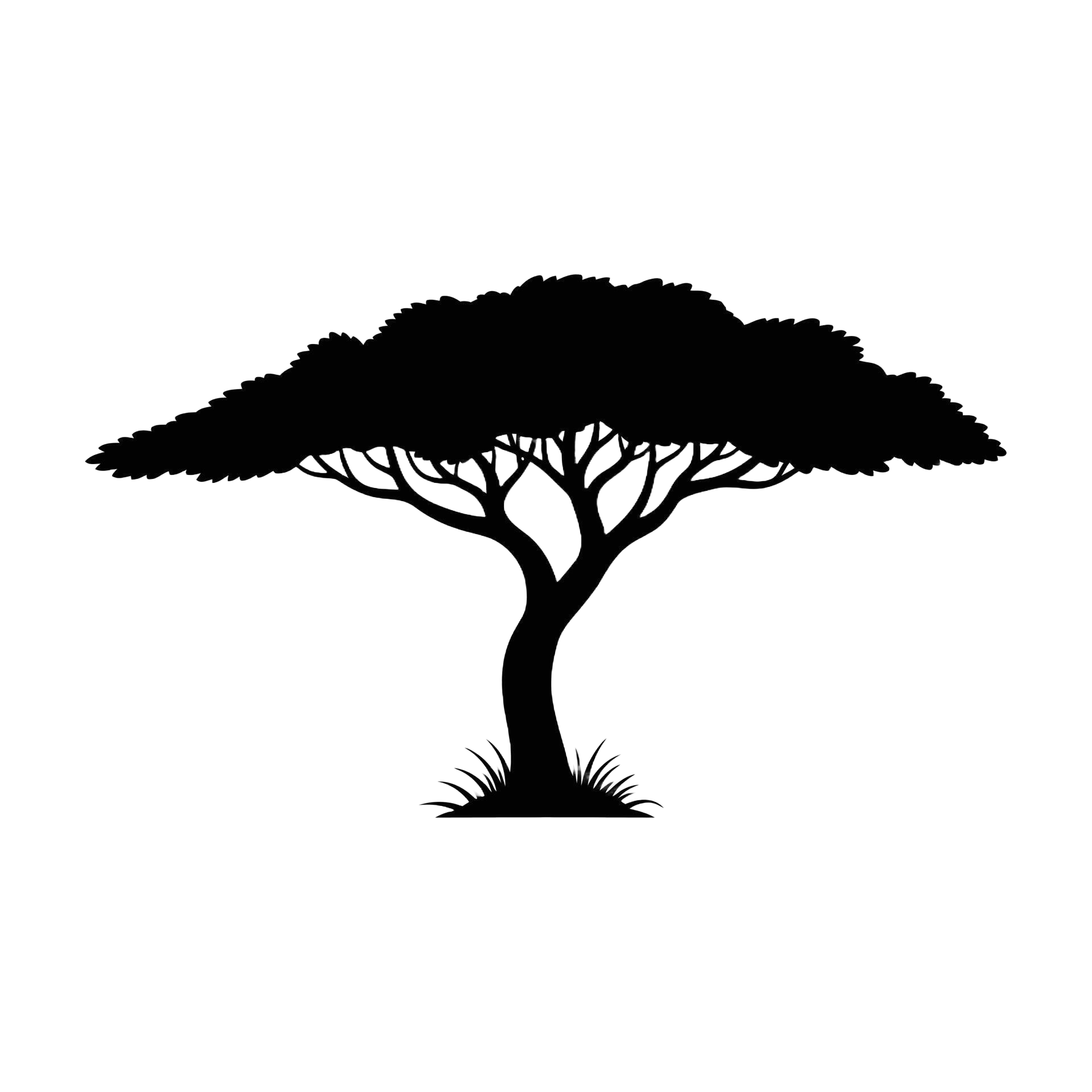 African Tree